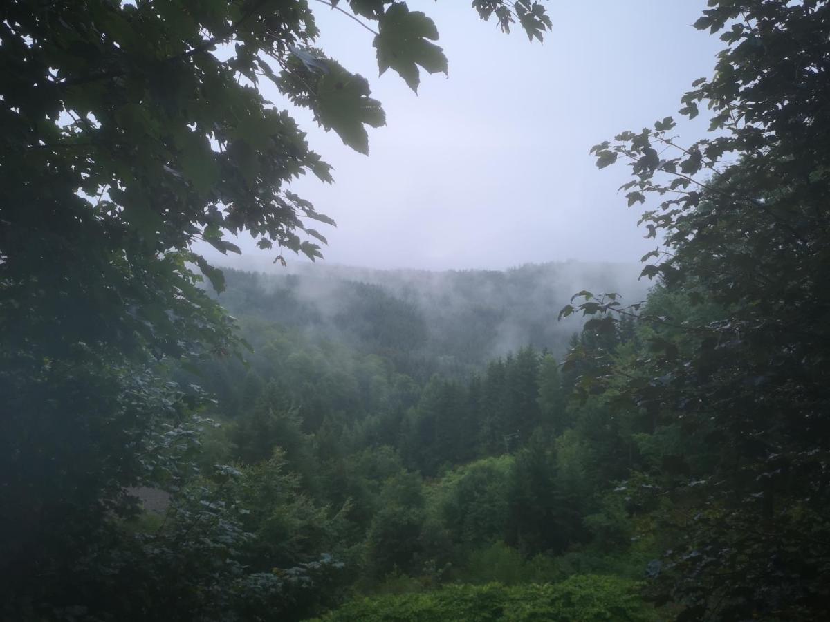 Apartament Dorfschule Mollseifen Winterberg Zewnętrze zdjęcie